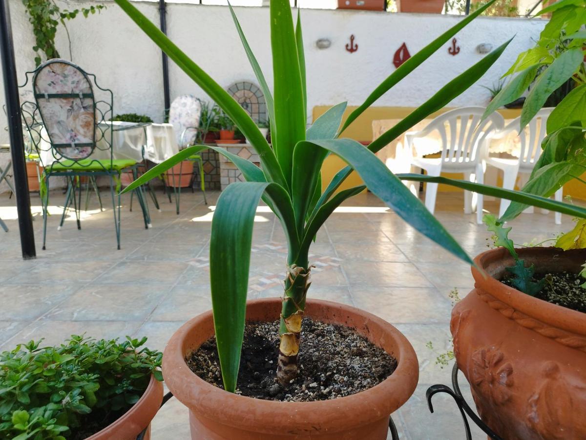 Voulas Guest House Volos Bagian luar foto